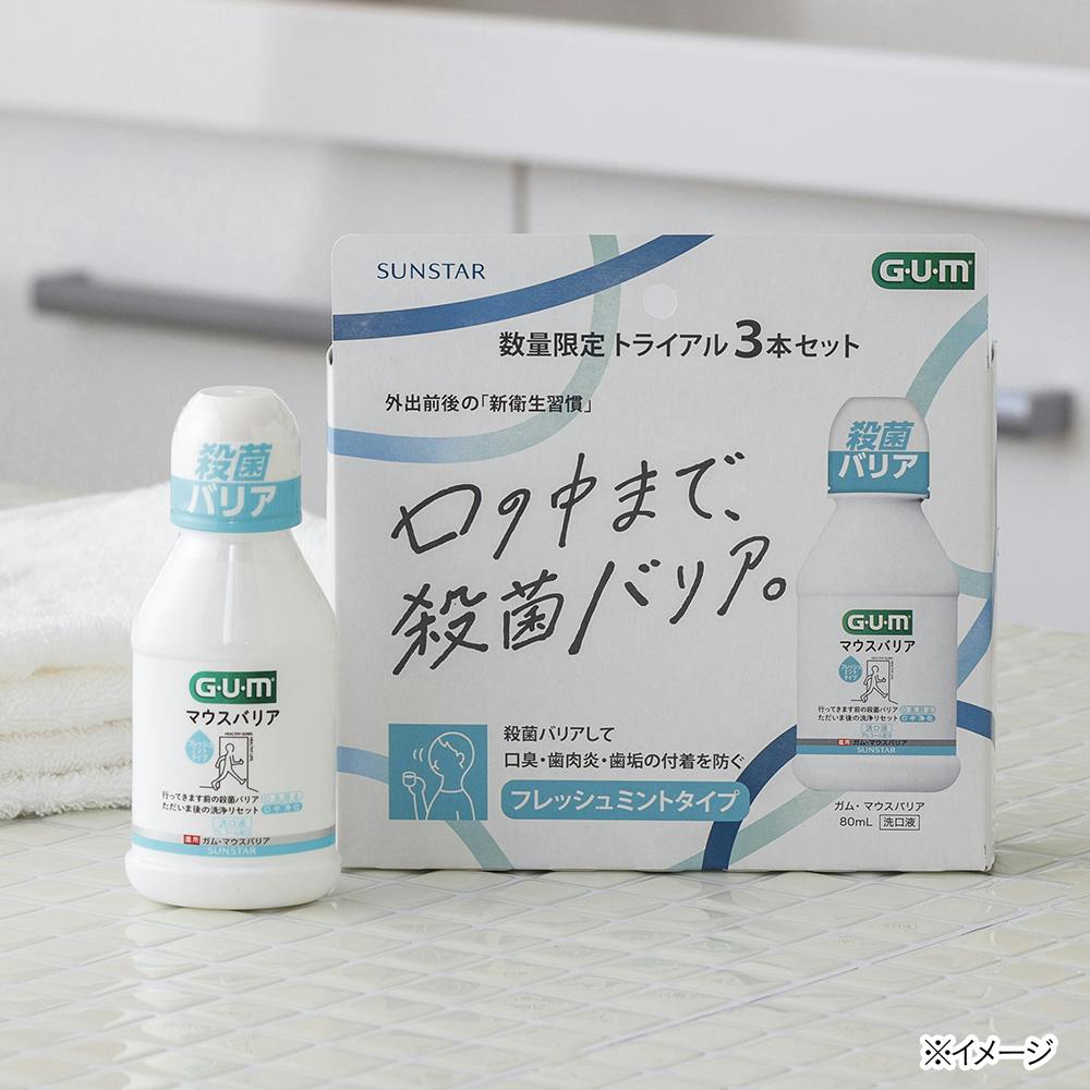 GUM デンタルリンス レギュラー 250ml - その他