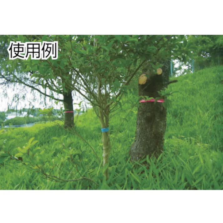 【CAINZ-DASH】スリーエム ジャパンテープ・接着剤製品事業部 エッジシーラー 150CC EC1103 150CC【別送品】