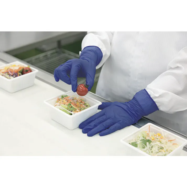 【CAINZ-DASH】日本製紙クレシア プロテクガード ダークブルー ニトリルグローブ Lサイズ(100枚入) 69370【別送品】