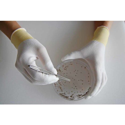 ALE ( アレ ) 指切りグローブ AIR GLOVES LTD ( エア グローブ