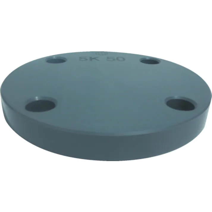 【CAINZ-DASH】積水化学工業 板フランジSB型 15 JIS5K PVC FSB155【別送品】