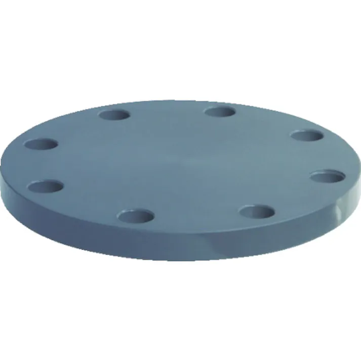 【CAINZ-DASH】積水化学工業 板フランジSB型 30 JIS10K PVC FSB30【別送品】