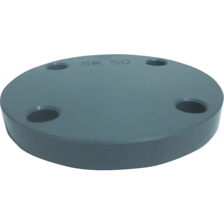 【CAINZ-DASH】積水化学工業 板フランジSB型 80 JIS5K PVC FSB805【別送品】