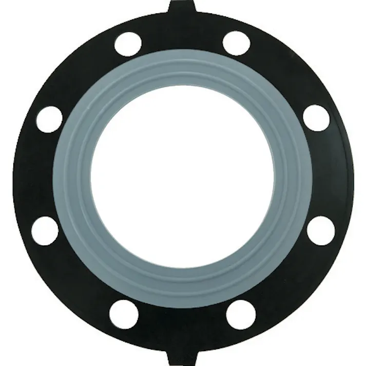 【CAINZ-DASH】積水化学工業 PTFE(テフロン)パッキン 150A JIS10K PP1F【別送品】