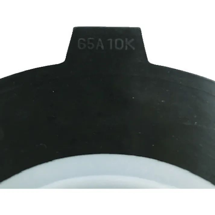 【CAINZ-DASH】積水化学工業 PTFE(テフロン)パッキン 65A JIS10K PP65【別送品】