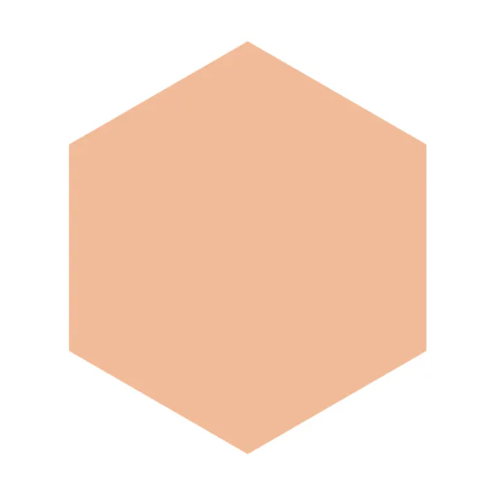 グレイシィ ホワイトパクトEX (レフィル) オークル10