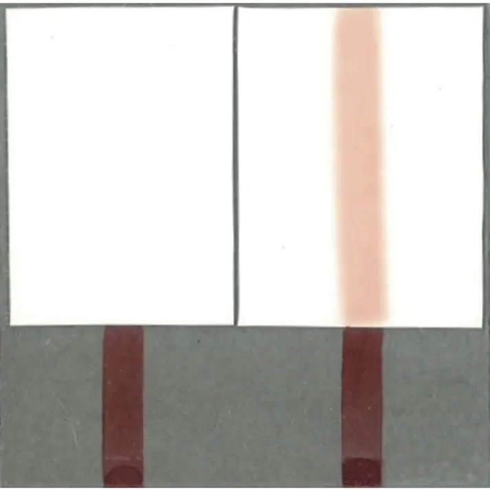 【CAINZ-DASH】サクラクレパス ピグマックスツイン 橙 ZPK-T5【別送品】