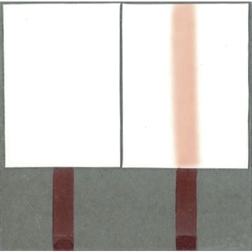 ぐーみん CAINZ-DASH】サクラクレパス ピグマックスツイン 茶色 ZPK-T12【別送品