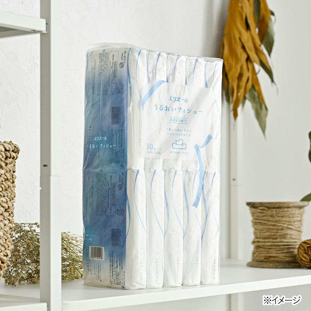 ティッシュペーパー 120組 エリエール  Water ソフトパックティッシュー 1セット（5個入×5パック）大王製紙