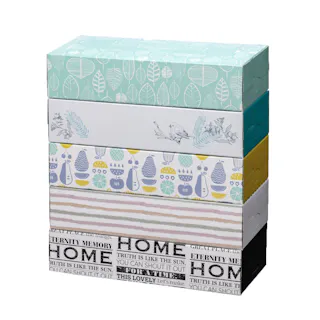 カインズ ピュアスウィートティシュー スタイル 200組×5個パック