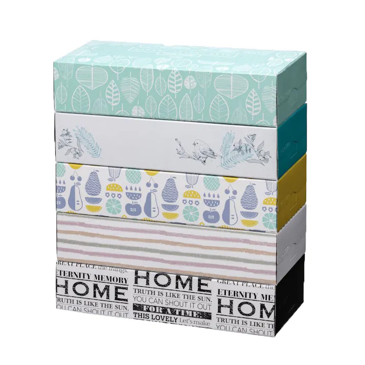 カインズ ピュアスウィートティシュー スタイル 200組×5個パック