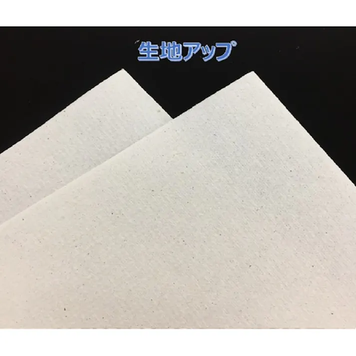 【CAINZ-DASH】EBS エルヴェール ペーパータオル エコスマート200枚中判(703510/21000697) 21000697【別送品】