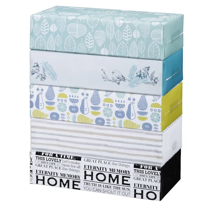 カインズ ピュアスウィートティシュー スタイル 200組×5個パック(販売終了)