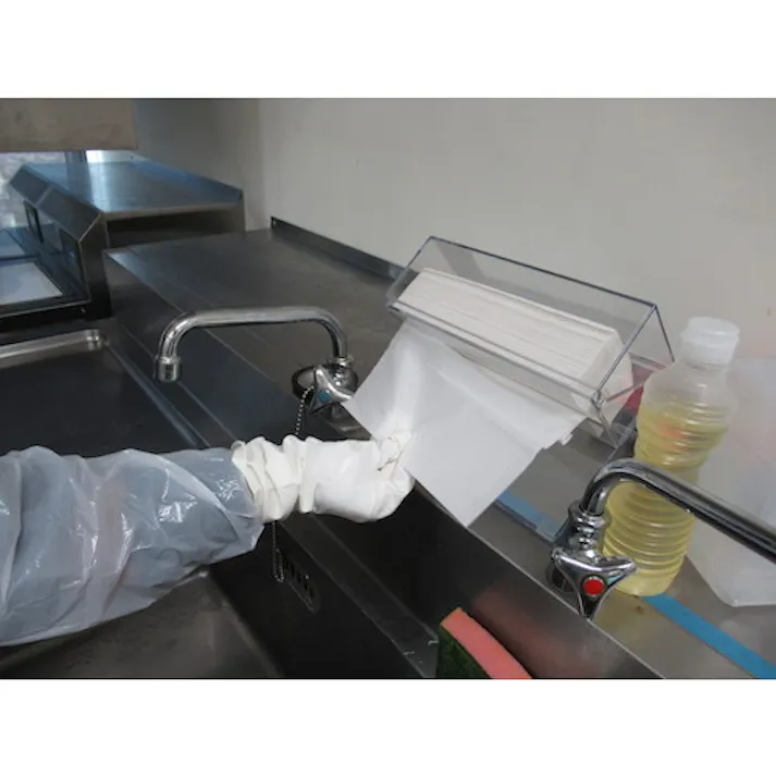 【CAINZ-DASH】EBS ペーパータオルディスペンサー 卓上用 小判型 793924【別送品】