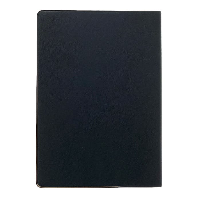 ダイゴー 2024年 No.E8316 手帳 アポイントダイアリー A6 薄型 大きな文字 1ヶ月ブロック ブラック