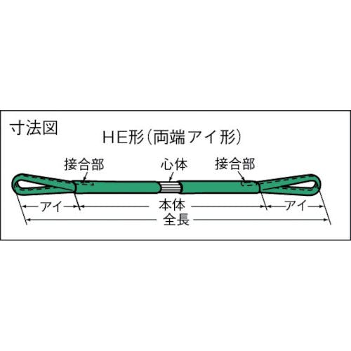 CAINZ-DASH】東レインターナショナル産資製品課 ラウンドスリング