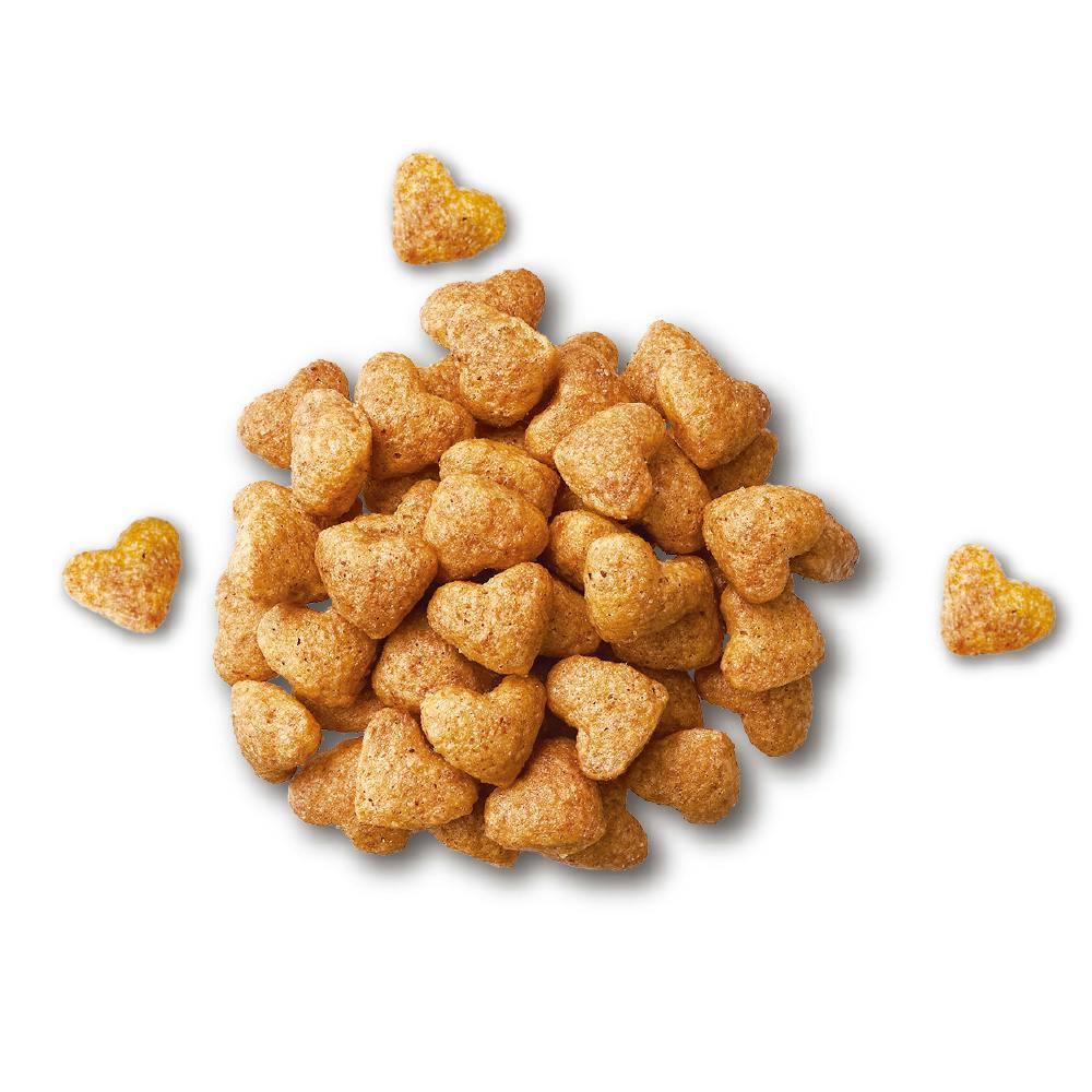 ドッグフード kai ビューティープロ ドッグ 10歳以上 4.7kg | ドッグフード 通販