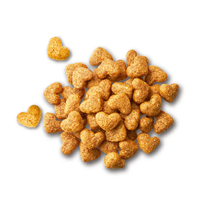 ビューティープロ ドッグ 1歳から 低脂肪 5.2kg