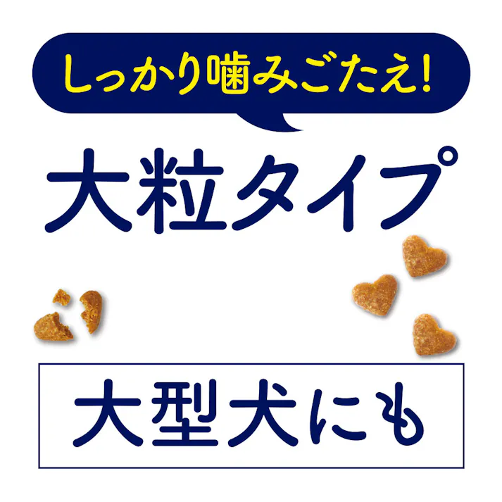 ビューティープロ ドッグ 1歳から 大粒 タイプ 5.2kg