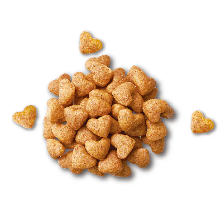 日本ペットフード ビューティープロ おなかの健康 1歳から全ての年齢 チキン 小粒 400g