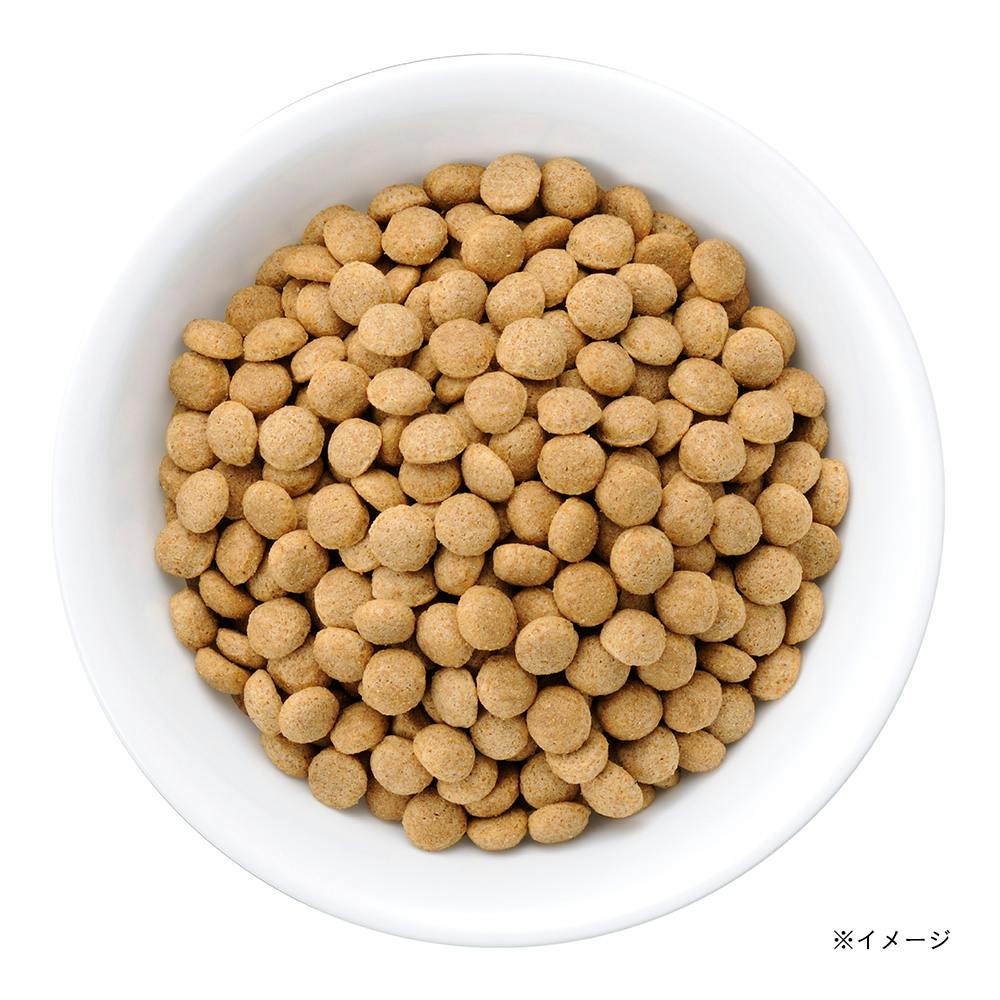 ビタワン 7歳以上用 チキン 6Kg | ドッグフード 通販 | ホームセンター