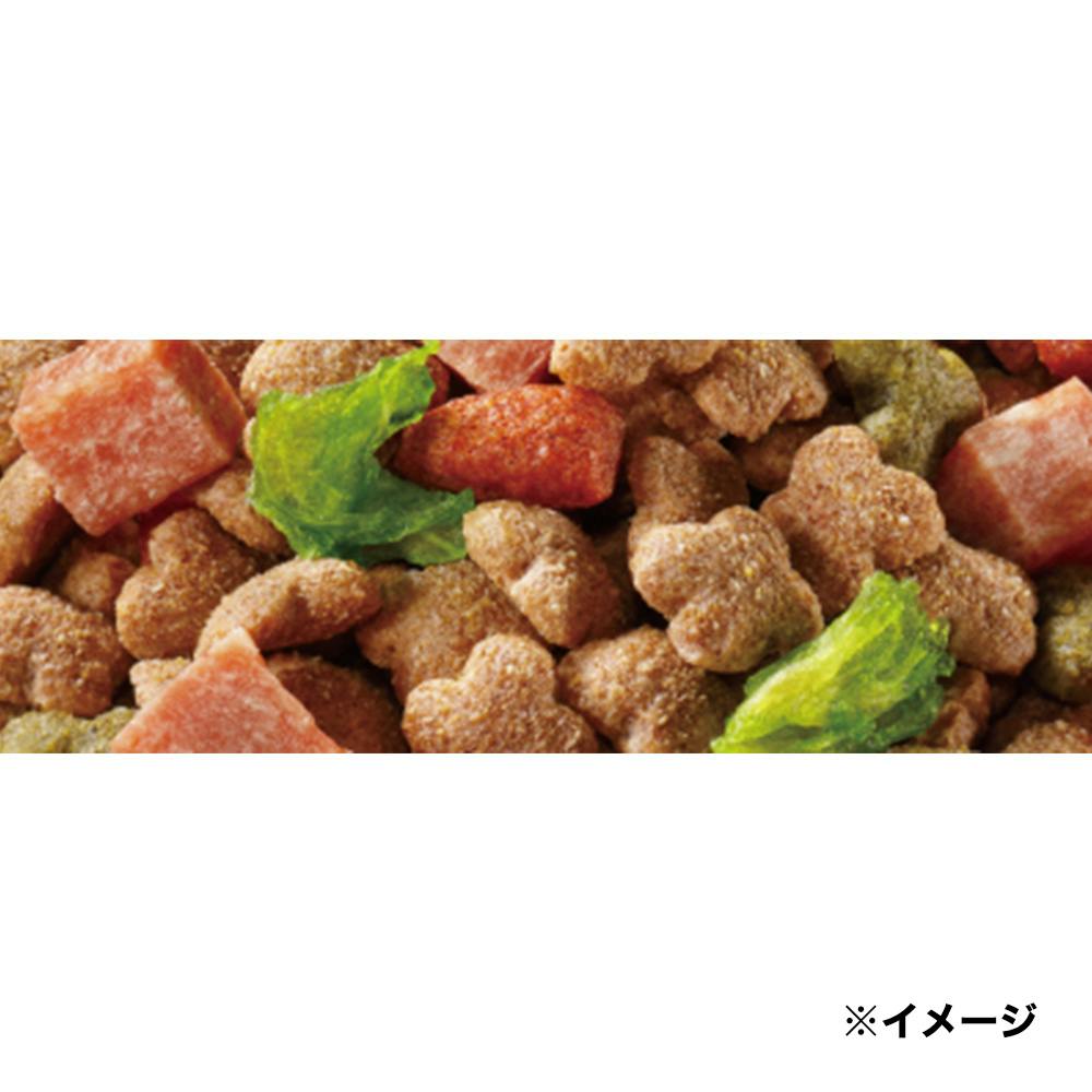 コンボドッグやわらかキャベツ入り 720g | ドッグフード 通販