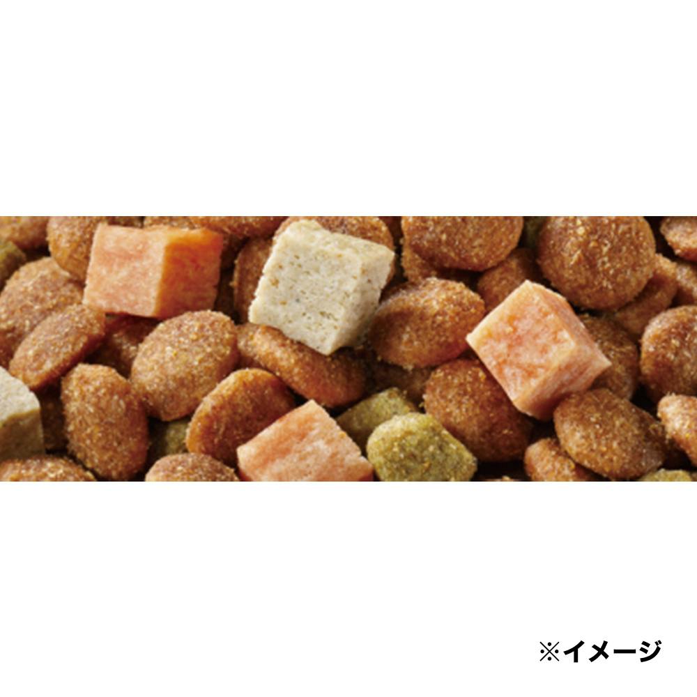コンボドッグ 11歳以上 720g | ペット用品（犬） 通販