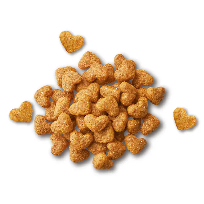 ビューティープロ 成犬用 200g