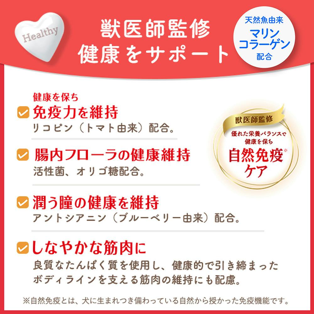 ビューティープロ ドッグ ダイエット 200g | ドッグフード 通販