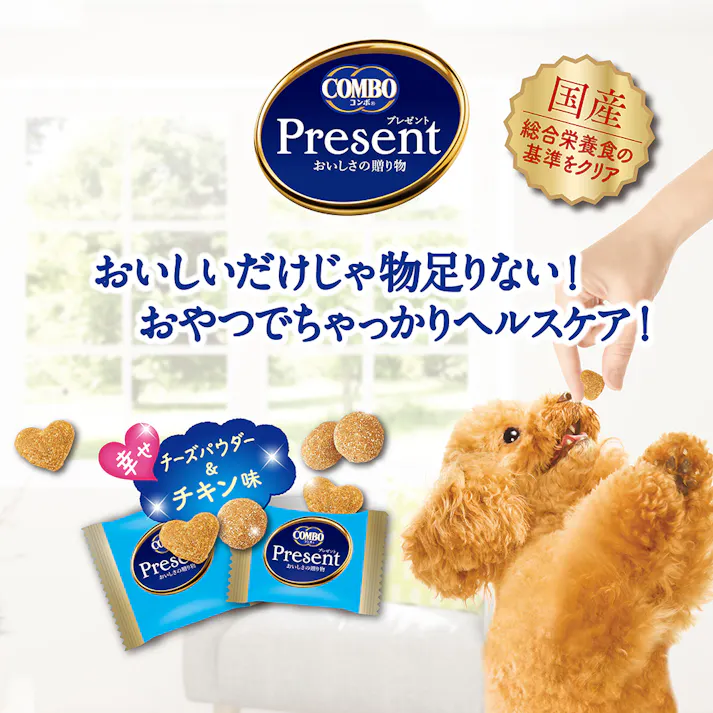 コンボプレゼントドッグおやつ おなかの健康36g