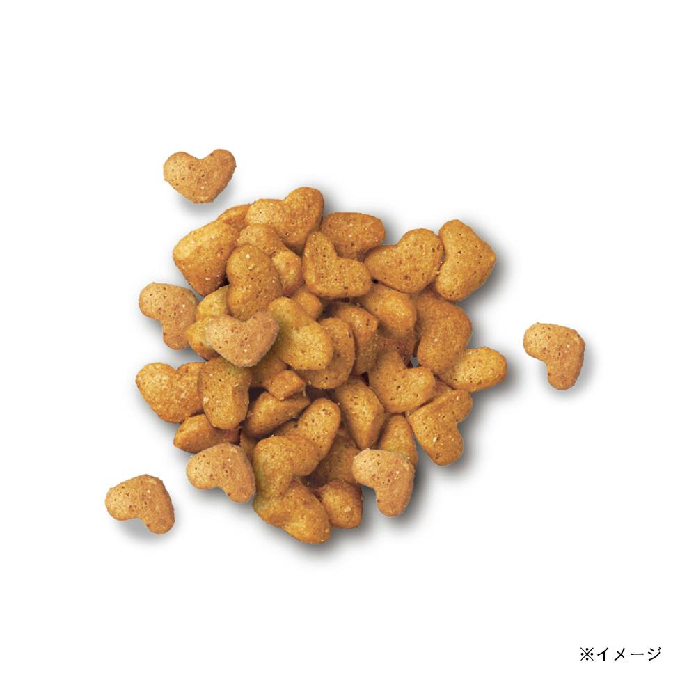 ビューティープロ キャット 12ヶ月頃まで 子猫用 フィッシュ味