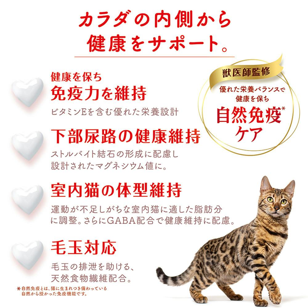 ビューティープロ キャット 1歳から 成猫用 フィッシュ味 600g