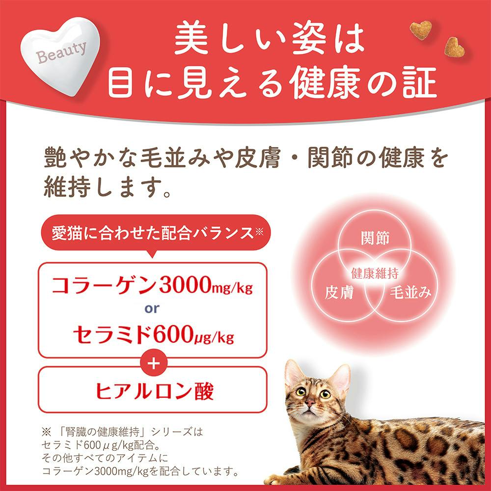 ビューティプロ 猫 下部尿路の健康維持 1～10歳 560g | キャットフード