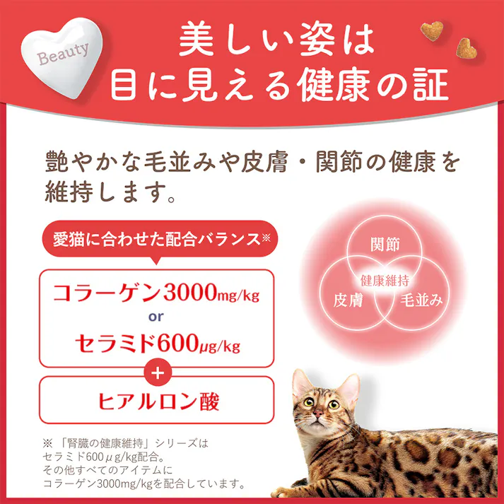 ビューティプロ 猫 下部尿路の健康維持 1~10歳 560g