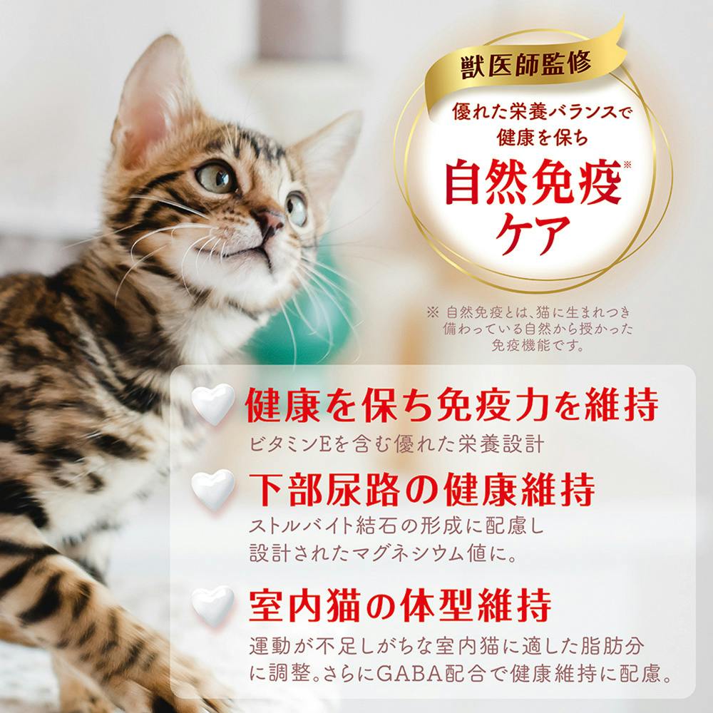 ビューティープロ キャット 12ヶ月頃まで 子猫用 フィッシュ味