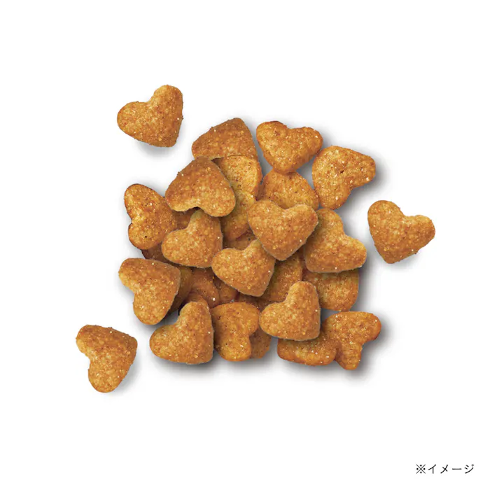 ビューティープロ キャット 1歳から 猫下部尿路の健康維持 フィッシュ味 1.4kg