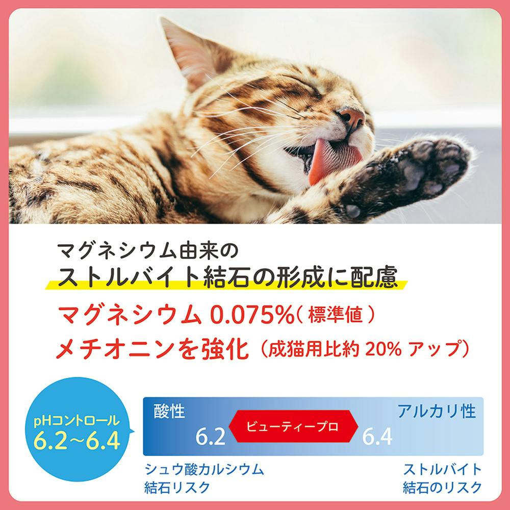 ビューティープロ キャット 1歳から 猫下部尿路の健康維持 フィッシュ味 1.4kg | ペット用品（猫） 通販 | ホームセンターのカインズ