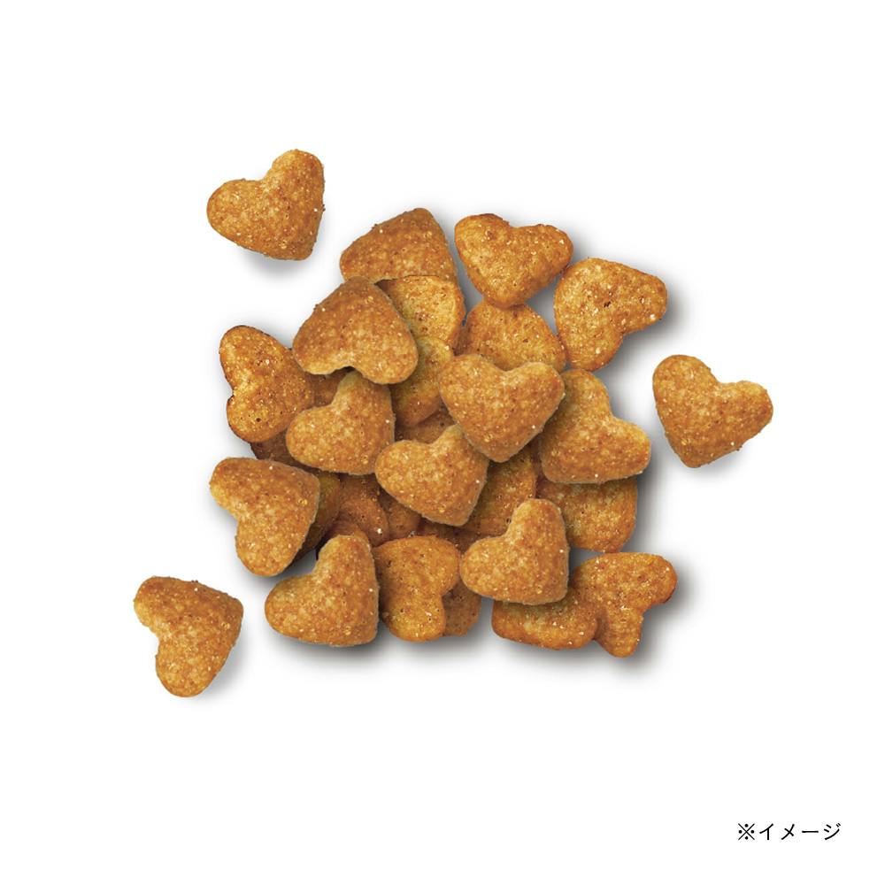 ビューティープロ キャット 1歳から 猫下部尿路の健康維持 低脂肪