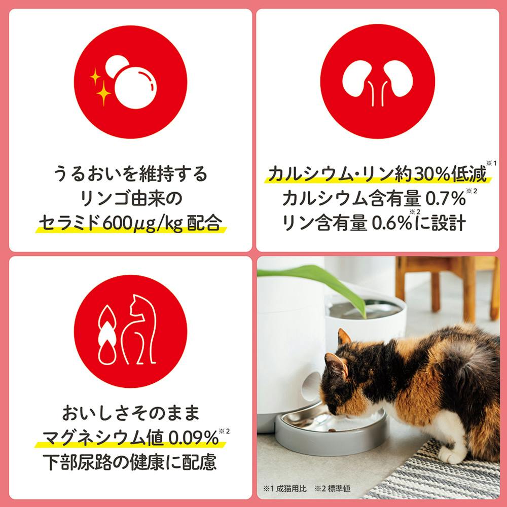 日本ペットフード ビューティープロ 腎臓の健康維持 8歳以上