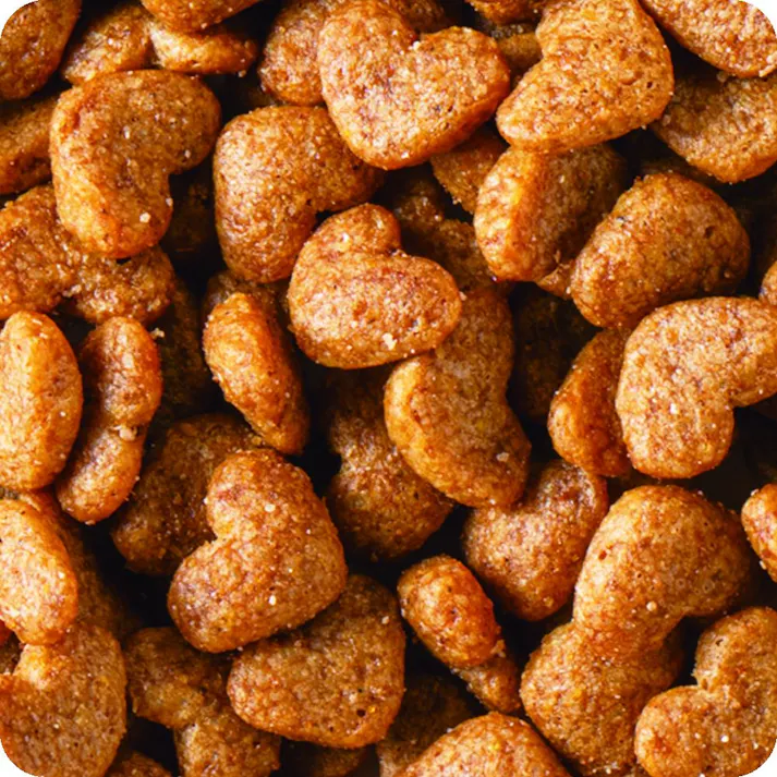 ビューティープロ Wケア 下部尿路・腎臓 1.2Kg