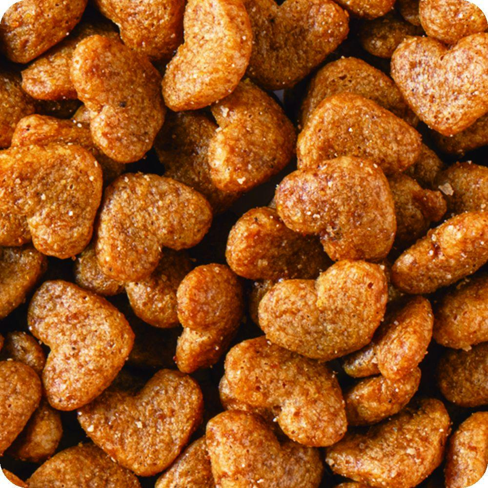 ビューティープロ Wケア 低脂肪・筋力 150g | キャットフード 通販