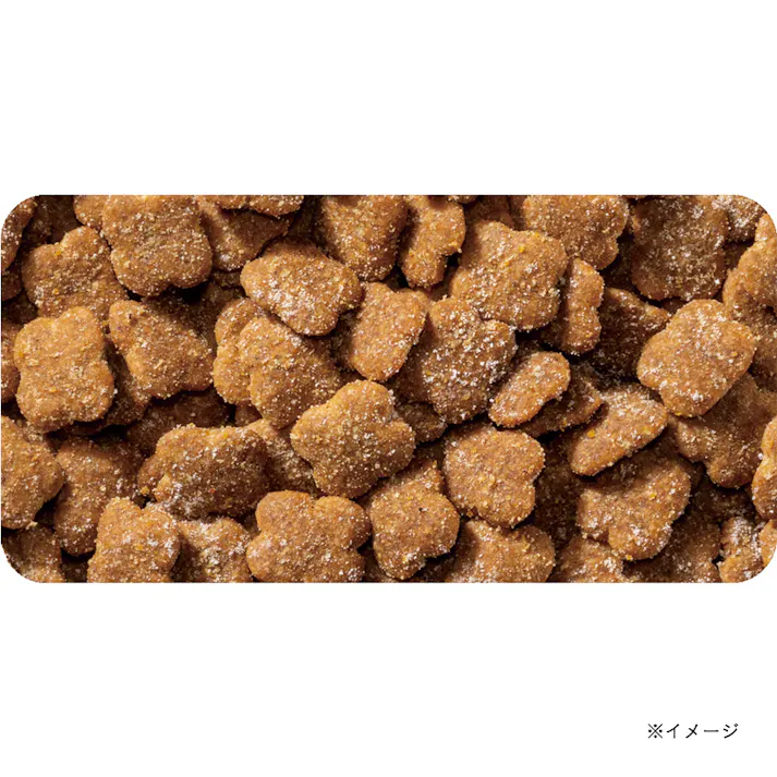 コンボピュア キャット チキン味 チーズ&まぐろ節パウダー入り 200g