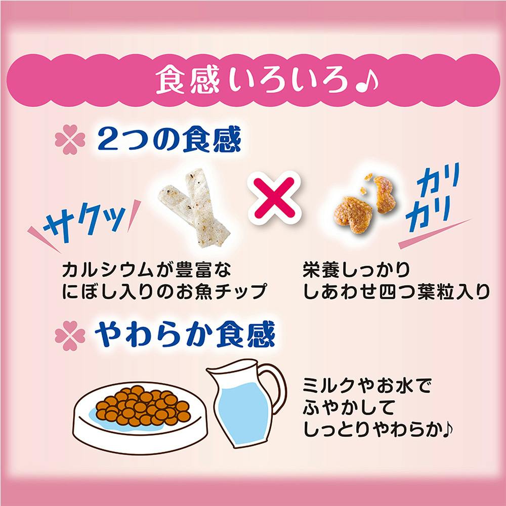 コンボキャット 子ねこ用 にぼしチップ 600g | キャットフード 通販