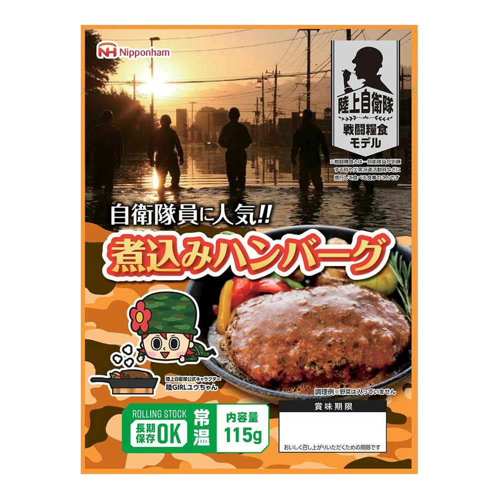 煮込みハンバーグ