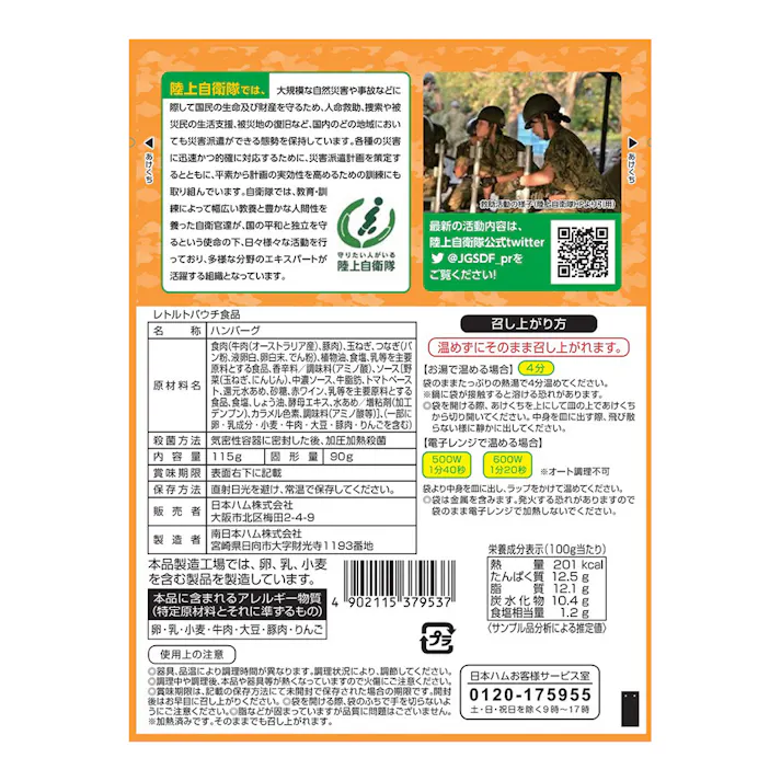 煮込みハンバーグ