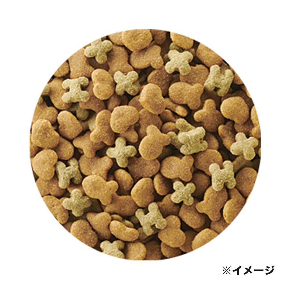 つかいふるしのいぬ iq-ptlt1.jpg