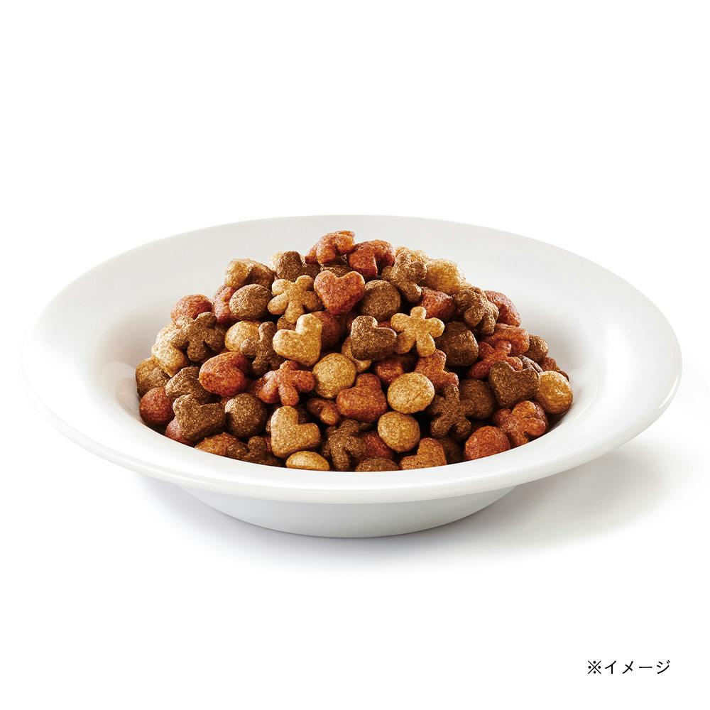 モンプチバッグ 5種の贅沢グリルブレンド | キャットフード 通販