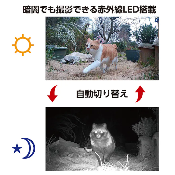 リーベックス ソーラーセンサーカメラ SD4500C