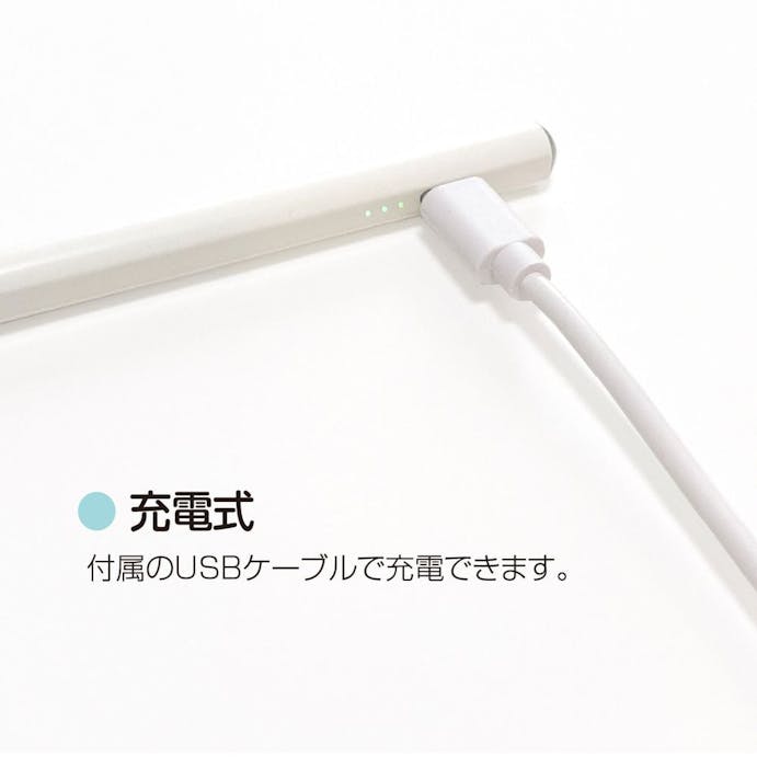 ナカバヤシ iPad専用充電式タッチペン ホワイト