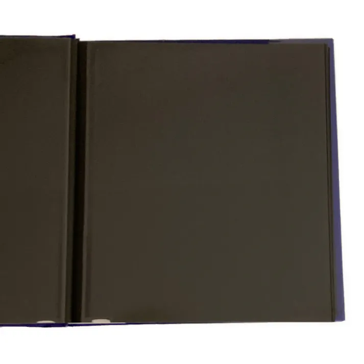 フエルアルバム Lサイズ 100年台紙(黒) インテグレーション ブルー LDH-1001-B